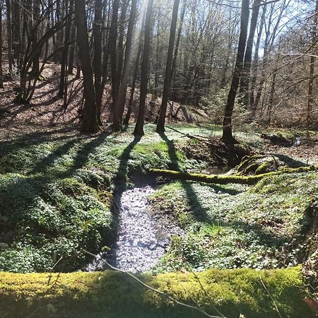 Wellness Ferienwohnung Biene Im Bergischen Land Much Luaran gambar